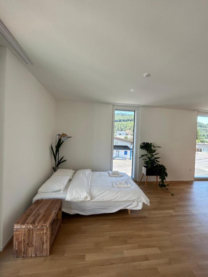 The R Apartment Passwang, Klima, Neu, Balkon, Parking Balsthal Zewnętrze zdjęcie