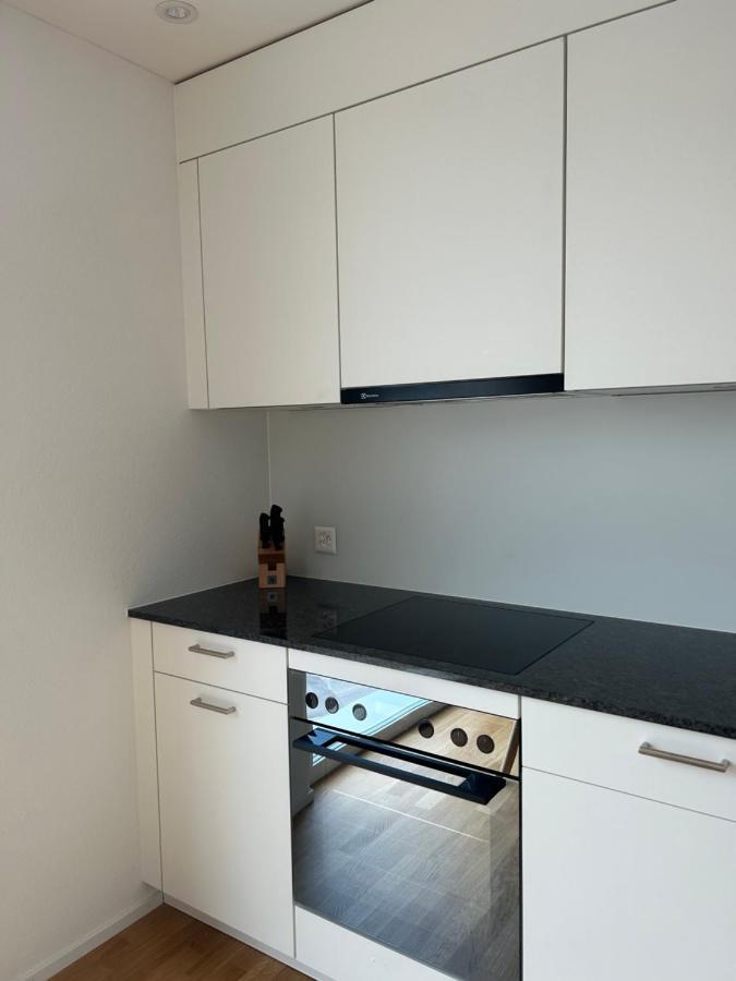 The R Apartment Passwang, Klima, Neu, Balkon, Parking Balsthal Zewnętrze zdjęcie