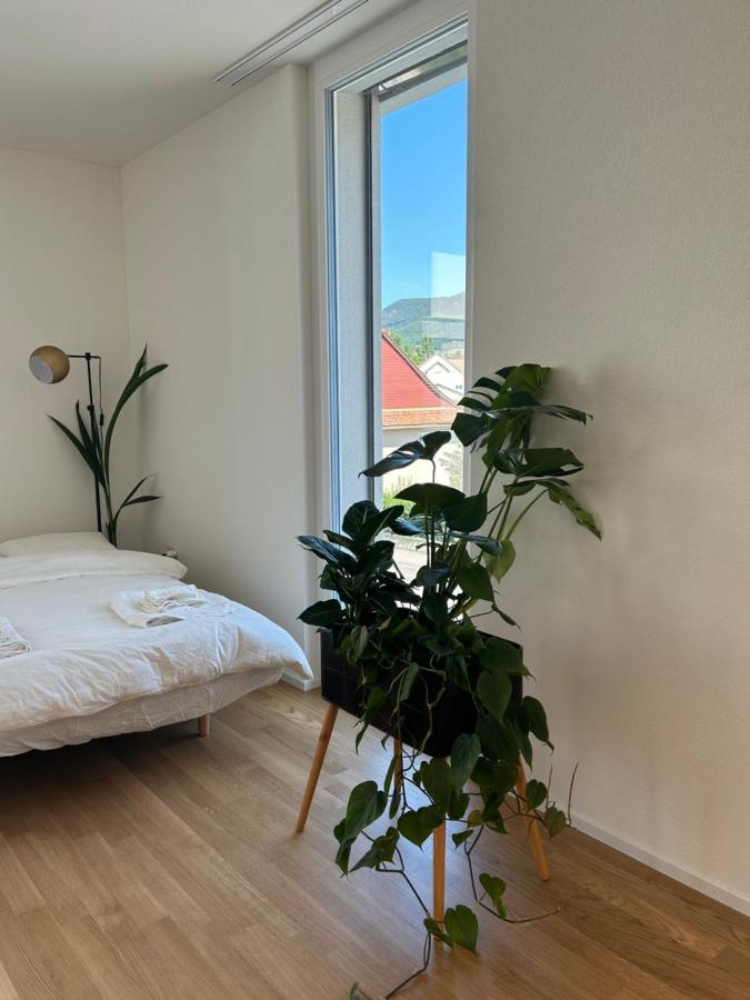 The R Apartment Passwang, Klima, Neu, Balkon, Parking Balsthal Zewnętrze zdjęcie