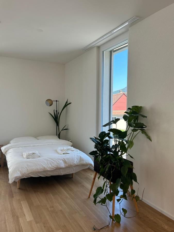 The R Apartment Passwang, Klima, Neu, Balkon, Parking Balsthal Zewnętrze zdjęcie