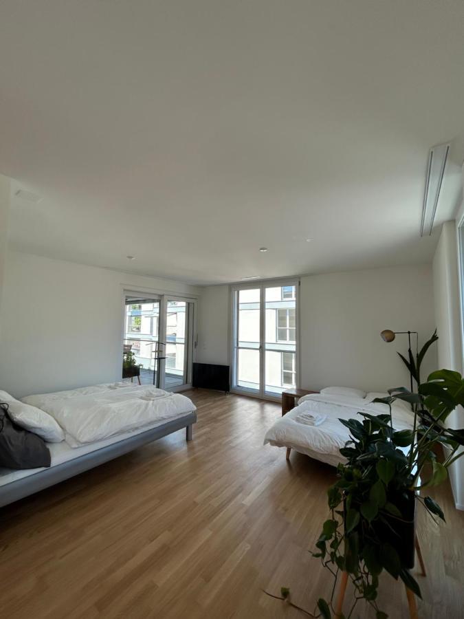 The R Apartment Passwang, Klima, Neu, Balkon, Parking Balsthal Zewnętrze zdjęcie